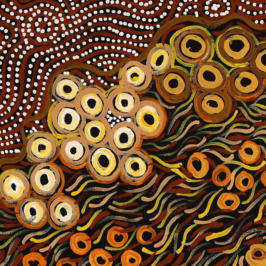 Aboriginal Artwork by Wendy Nungarrayi Brown, Yanjirlpirri or Napaljarri-Warnu Jukurrpa (Star or Seven Sisters Dreaming), 46x46cm