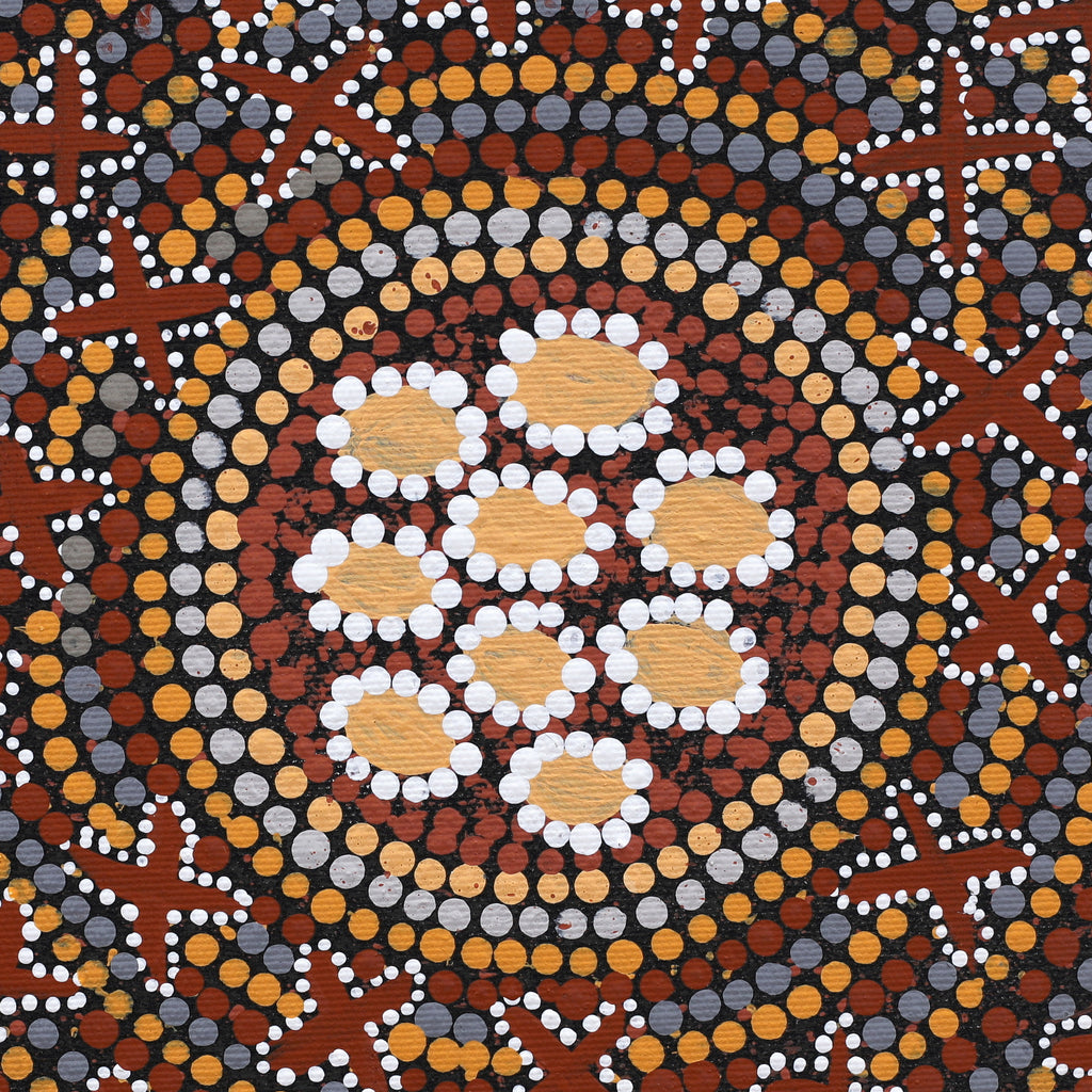 Aboriginal Art by Wendy Napaljarri Kitson, Ngatijirri Jukurrpa (Budgerigar Dreaming), 30x30cm - ART ARK®