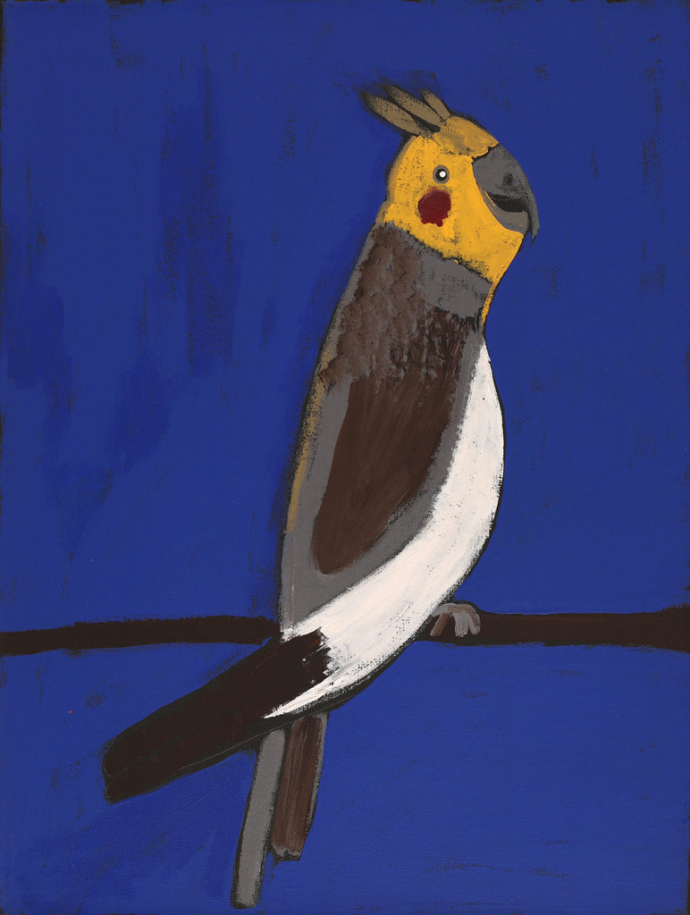 Aboriginal Artwork by Wilma Napangardi Poulson, Birds that live around Yuendumu, 61x46cm