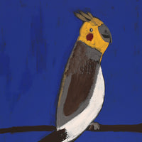 Aboriginal Artwork by Wilma Napangardi Poulson, Birds that live around Yuendumu, 61x46cm