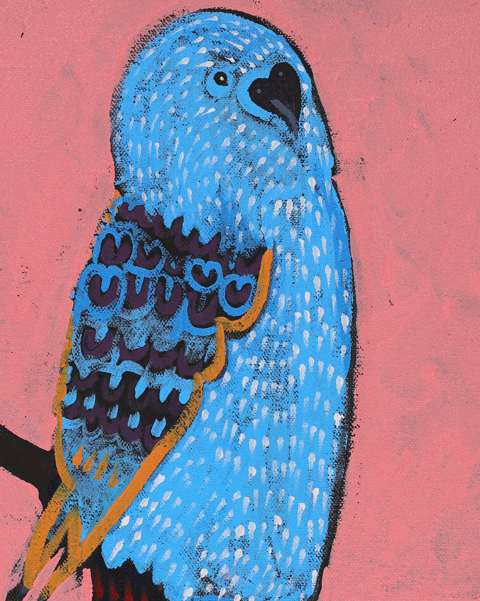 Aboriginal Artwork by Wilma Napangardi Poulson, Birds that live around Yuendumu, 46x30cm