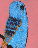 Aboriginal Artwork by Wilma Napangardi Poulson, Birds that live around Yuendumu, 46x30cm