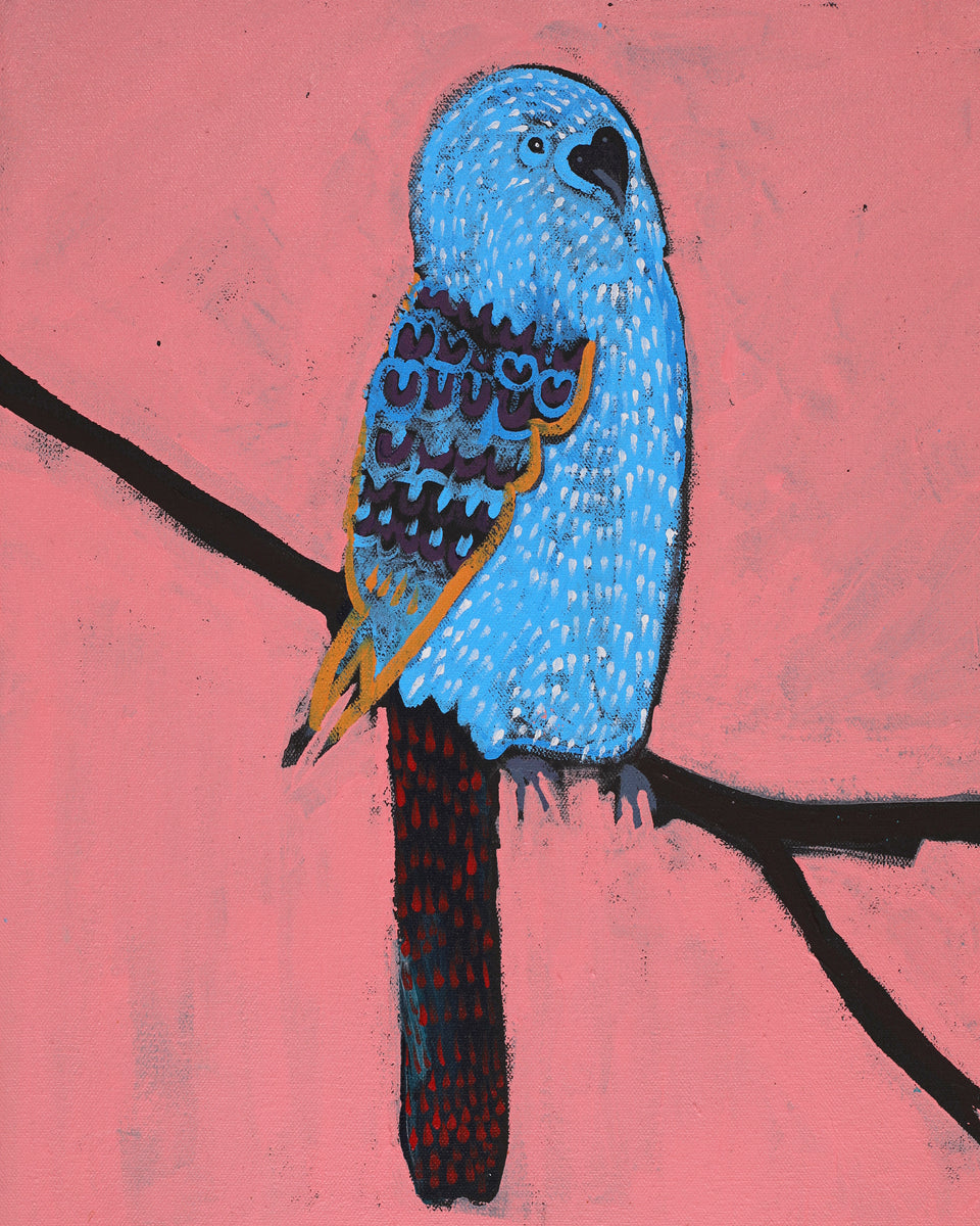 Aboriginal Artwork by Wilma Napangardi Poulson, Birds that live around Yuendumu, 46x30cm