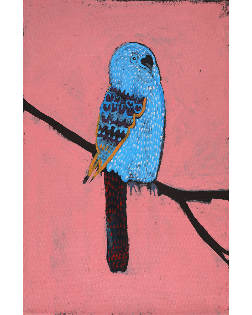 Aboriginal Artwork by Wilma Napangardi Poulson, Birds that live around Yuendumu, 46x30cm