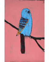 Aboriginal Artwork by Wilma Napangardi Poulson, Birds that live around Yuendumu, 46x30cm