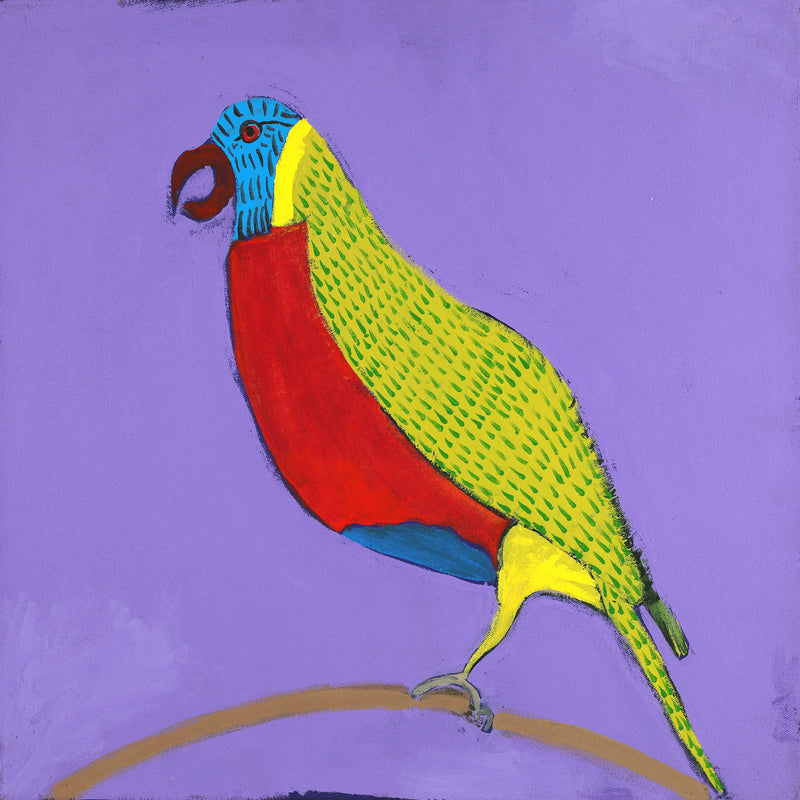 Aboriginal Artwork by Wilma Napangardi Poulson, Birds that live around Yuendumu, 46x46cm