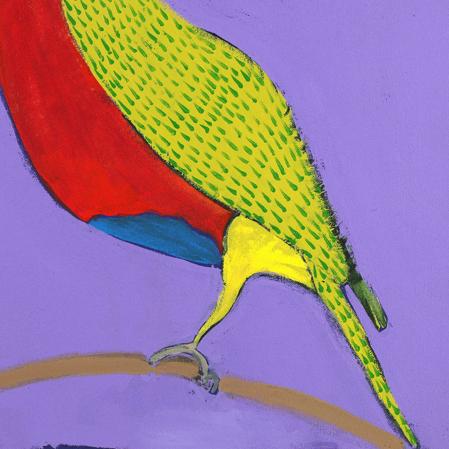 Aboriginal Artwork by Wilma Napangardi Poulson, Birds that live around Yuendumu, 46x46cm