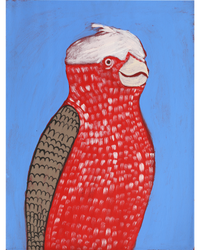 Aboriginal Artwork by Wilma Napangardi Poulson, Birds that live around Yuendumu, 61x46cm