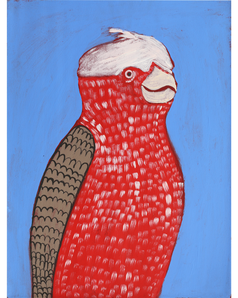 Aboriginal Artwork by Wilma Napangardi Poulson, Birds that live around Yuendumu, 61x46cm