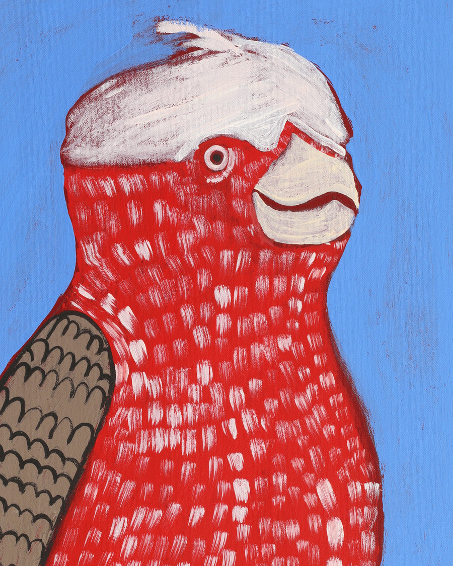 Aboriginal Artwork by Wilma Napangardi Poulson, Birds that live around Yuendumu, 61x46cm