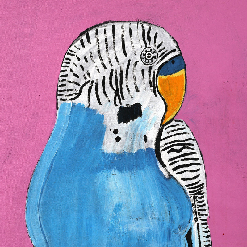Aboriginal Artwork by Wilma Napangardi Poulson, Birds that live around Yuendumu, 61x46cm