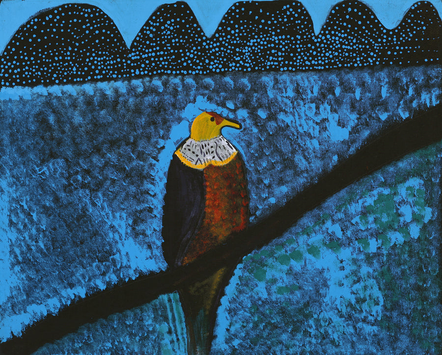 Aboriginal Artwork by Wilma Napangardi Poulson, Birds that live around Yuendumu, 76x61cm