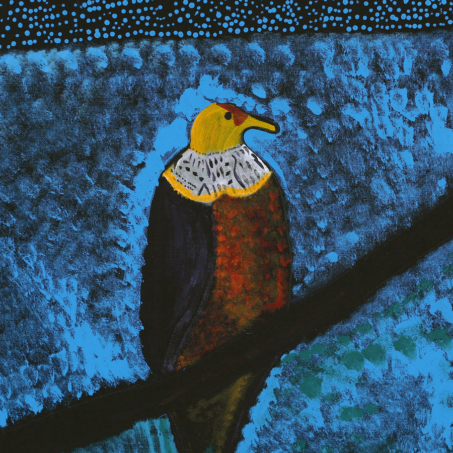 Aboriginal Artwork by Wilma Napangardi Poulson, Birds that live around Yuendumu, 76x61cm