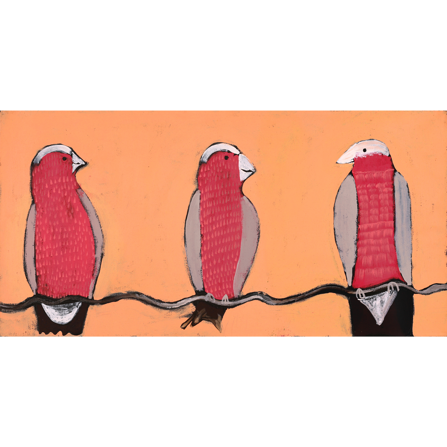 Aboriginal Artwork by Wilma Napangardi Poulson, Birds that live around Yuendumu, 91x46cm