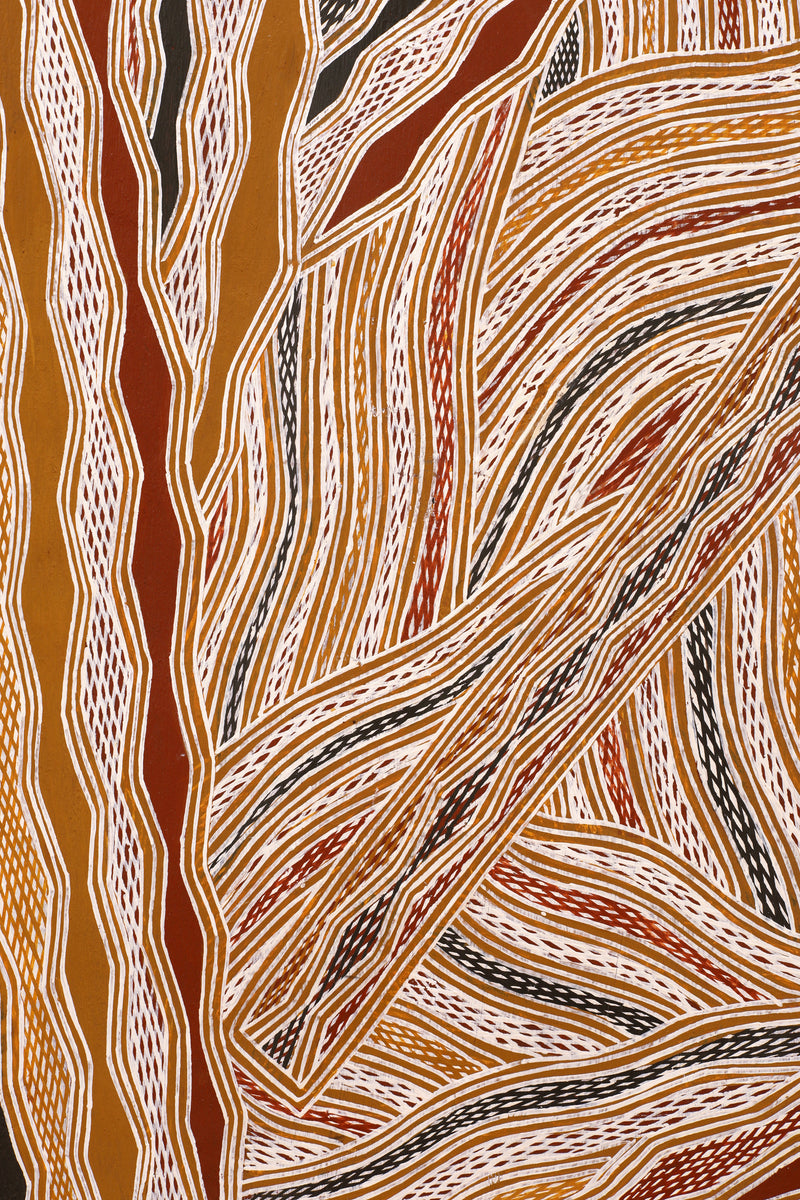 Aboriginal Art by Wulu Marawili, Garraŋali (Maḏarrpa clan), 161x62cm Bark - ART ARK®