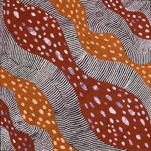 Aboriginal Art by Yangi Yangi Fox, Ngintaka, 61x61cm - ART ARK®