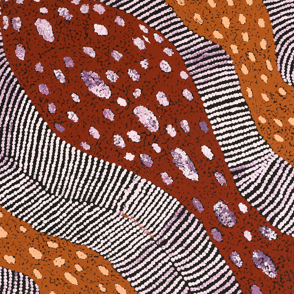 Aboriginal Artwork by Yangi Yangi Fox, Ngintaka, 61x61cm