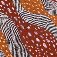 Aboriginal Artwork by Yangi Yangi Fox, Ngintaka, 61x61cm