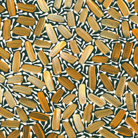 Aboriginal Artwork by Chantelle Nampijinpa Robertson, Ngapa Jukurrpa (Water Dreaming) - Puyurru, 30x30cm