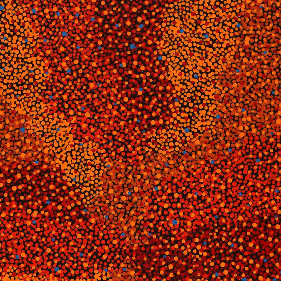 Aboriginal Artwork by Krishana Petrick, Ngapa Jukurrpa (Water Dreaming) - Puyurru, 76x46cm
