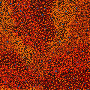 Aboriginal Artwork by Krishana Petrick, Ngapa Jukurrpa (Water Dreaming) - Puyurru, 76x46cm - ART ARK®