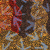 Aboriginal Artwork by Margaret Nangala Gallagher, Yankirri Jukurrpa (Emu Dreaming), 76x30cm