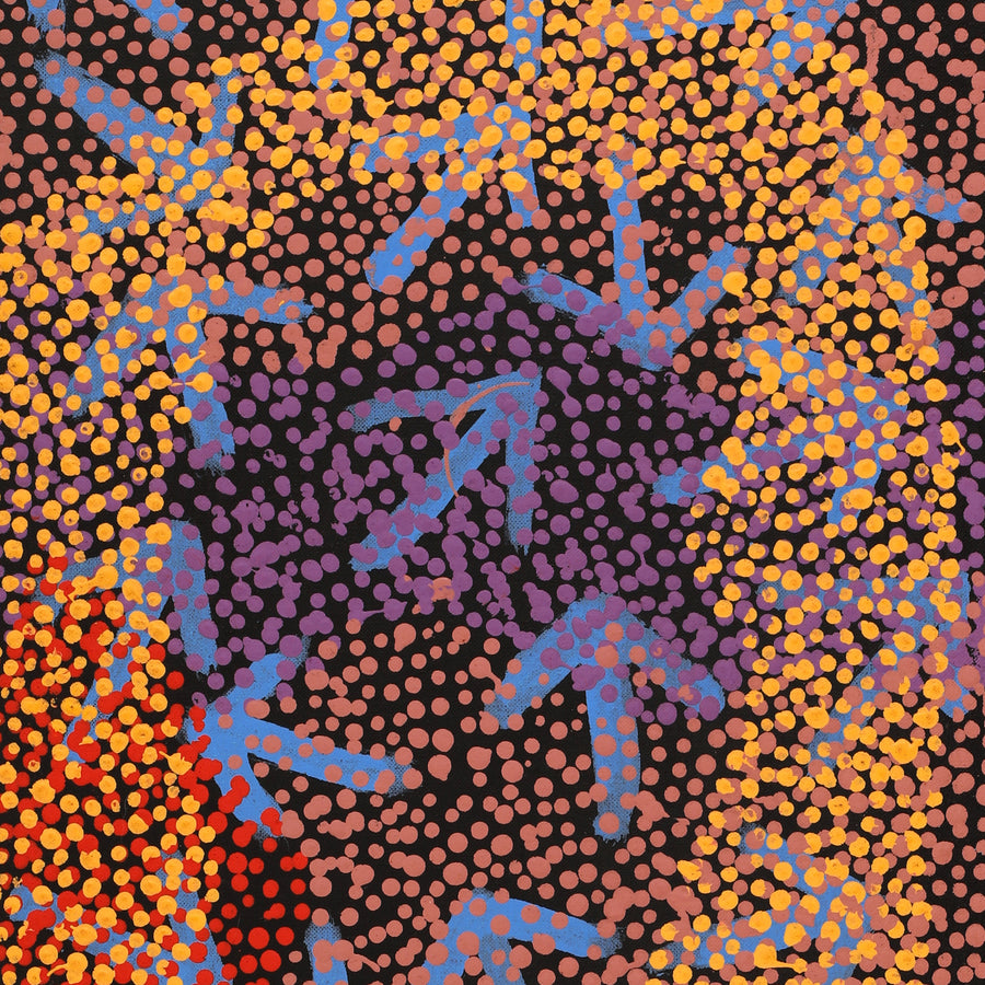 Aboriginal Artwork by Margaret Nangala Gallagher, Yankirri Jukurrpa (Emu Dreaming), 76x30cm