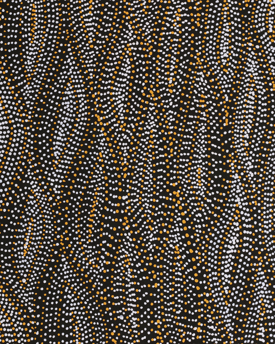 Aboriginal Artwork by Marshall Jangala Robertson, Watiya-warnu Jukurrpa (Seed Dreaming), 152x61cm