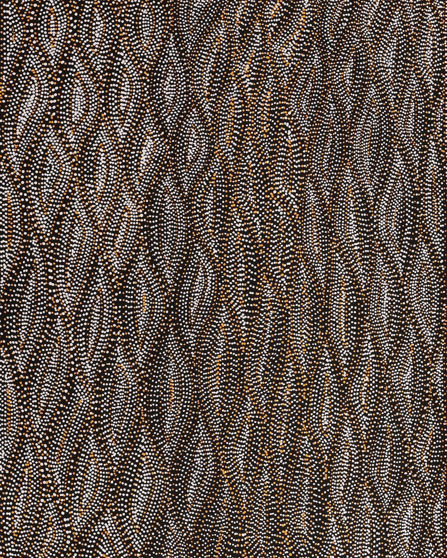 Aboriginal Artwork by Marshall Jangala Robertson, Watiya-warnu Jukurrpa (Seed Dreaming), 152x61cm