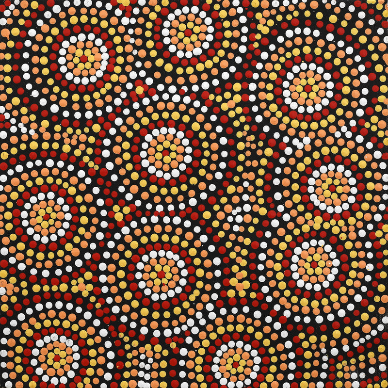 Aboriginal Artwork by Melissa Napangardi Williams, Wardapi Jukurrpa (Goanna Dreaming) - Yarripilangu , 30x30cm