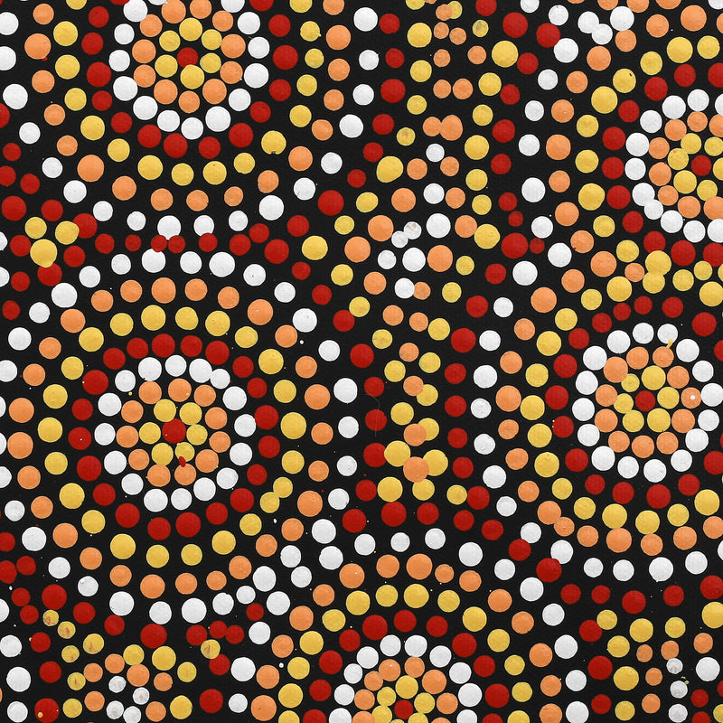 Aboriginal Artwork by Melissa Napangardi Williams, Wardapi Jukurrpa (Goanna Dreaming) - Yarripilangu , 30x30cm