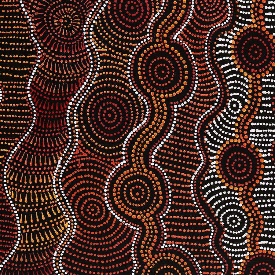 Aboriginal Artwork by Reanne Nampijinpa Brown, Ngapa Jukurrpa (Water Dreaming) - Mikanji, 91x61cm