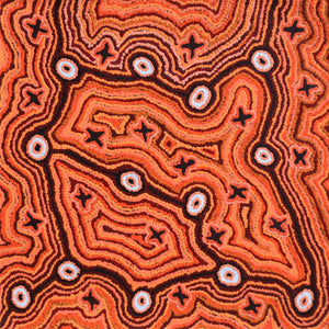 Aboriginal Art by Ruth Napaljarri Stewart, Ngatijirri Jukurrpa (Budgerigar Dreaming), 46x46cm - ART ARK®