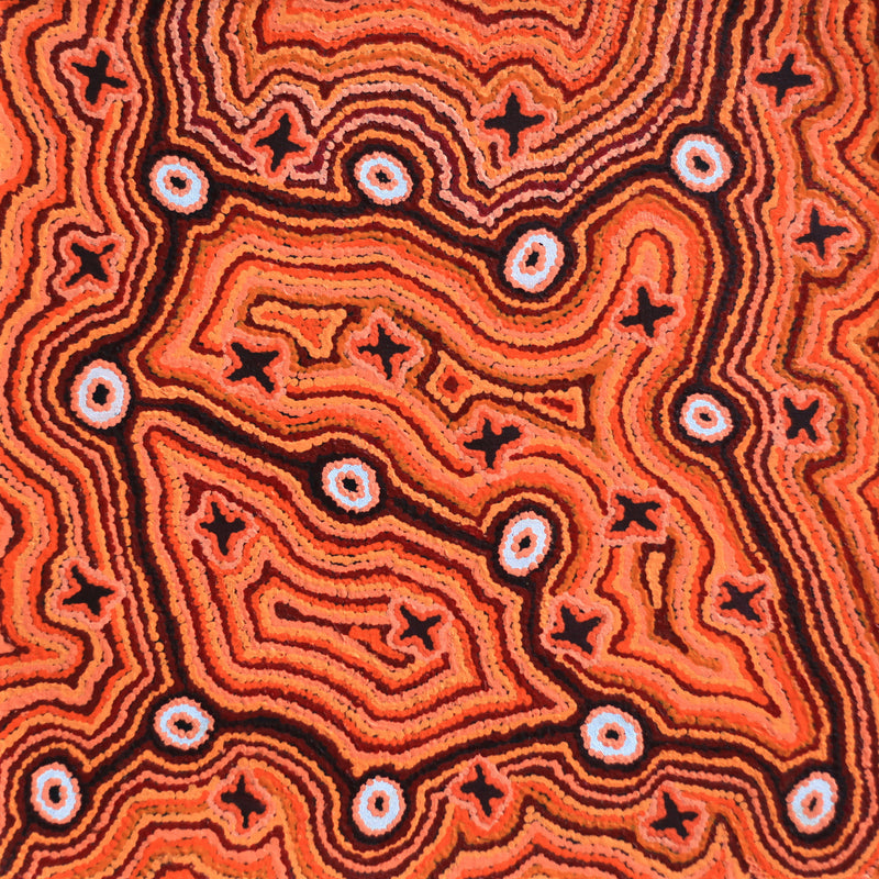 Aboriginal Artwork by Ruth Napaljarri Stewart, Ngatijirri Jukurrpa (Budgerigar Dreaming), 46x46cm