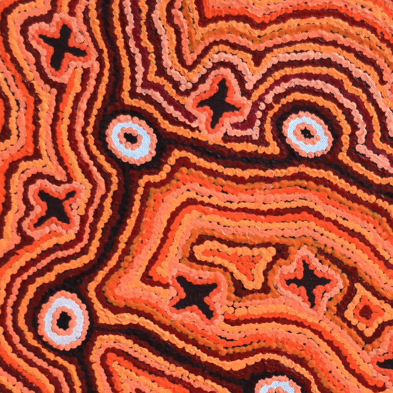 Aboriginal Artwork by Ruth Napaljarri Stewart, Ngatijirri Jukurrpa (Budgerigar Dreaming), 46x46cm