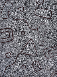 Aboriginal Artwork by Shanna Napanangka Williams, Ngapa Jukurrpa - Puyurru, 61x46cm