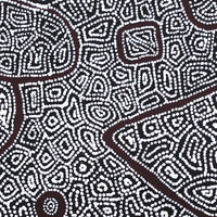 Aboriginal Artwork by Shanna Napanangka Williams, Ngapa Jukurrpa - Puyurru, 61x46cm