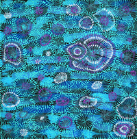 Aboriginal Artwork by Sylvaria Napurrurla Walker, Jitilypuru Jukurrpa, 46x46cm