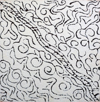 Aboriginal Artwork by Mary Napangardi Butcher, Pikilyi Jukurrpa, 30x30cm
