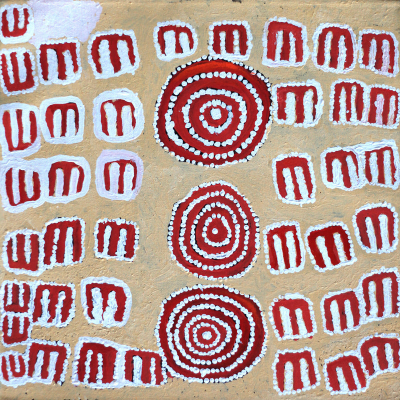 Aboriginal Artwork by Frank Japanangka, Janganpa Jukurrpa, 46x46cm