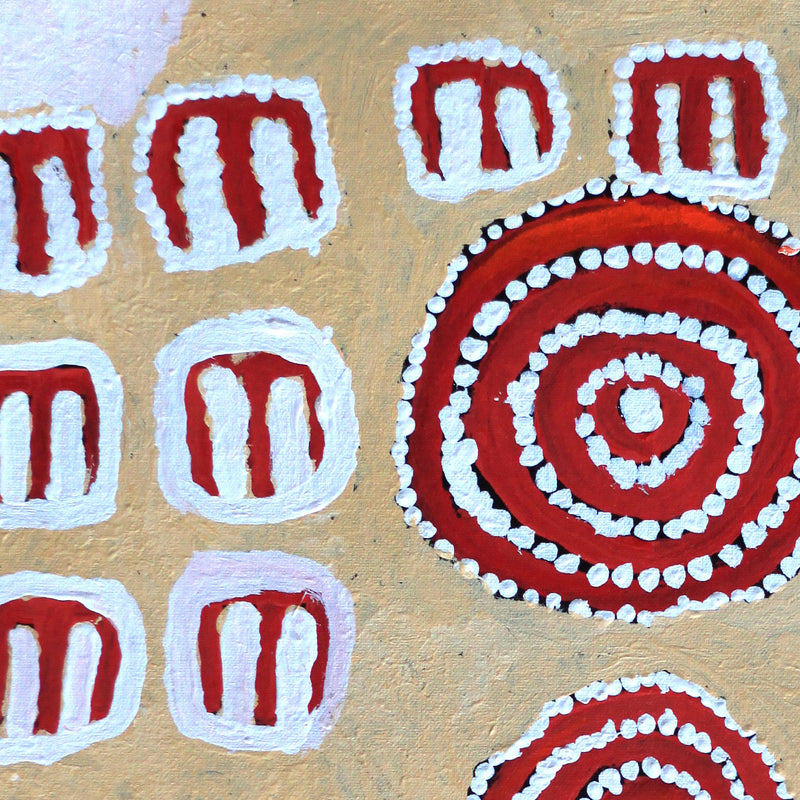 Aboriginal Artwork by Frank Japanangka, Janganpa Jukurrpa, 46x46cm