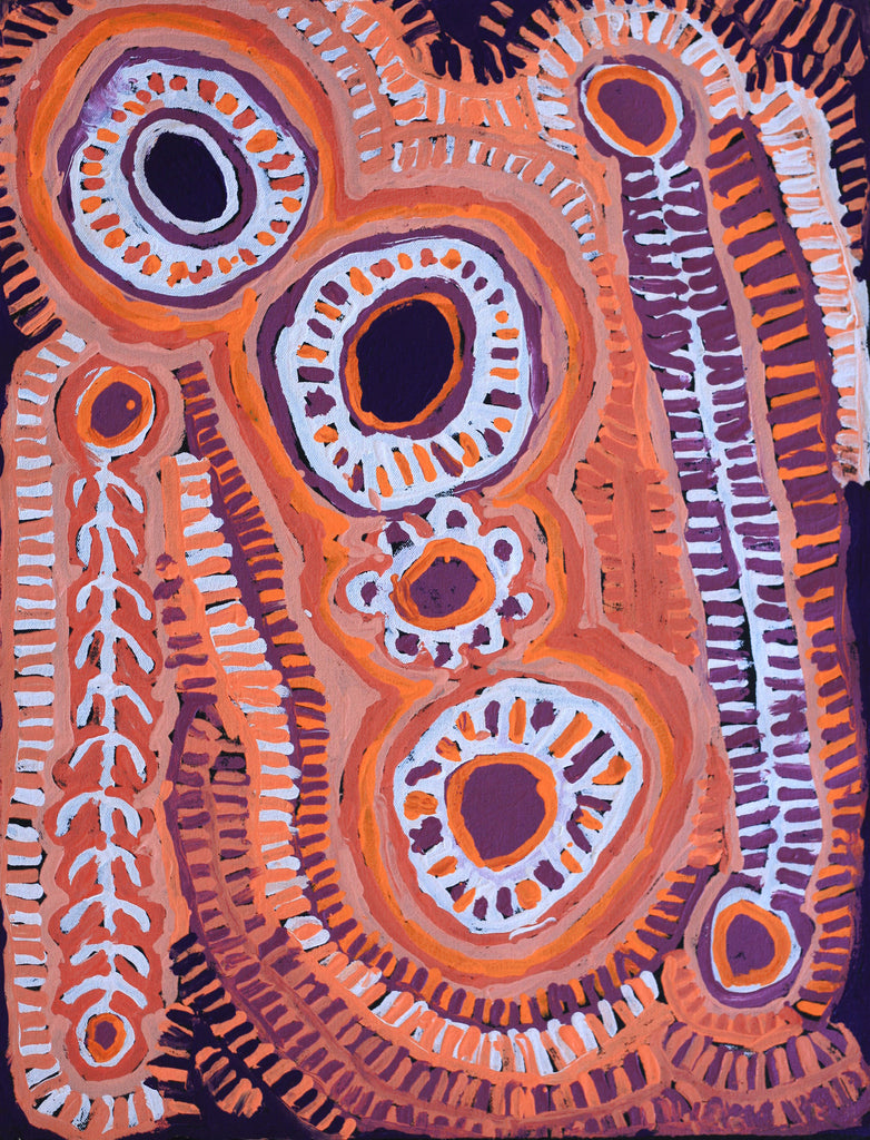 Aboriginal Artwork by Murdie Nampijinpa Morris, Malikijarra Jukurrpa, 61x46cm