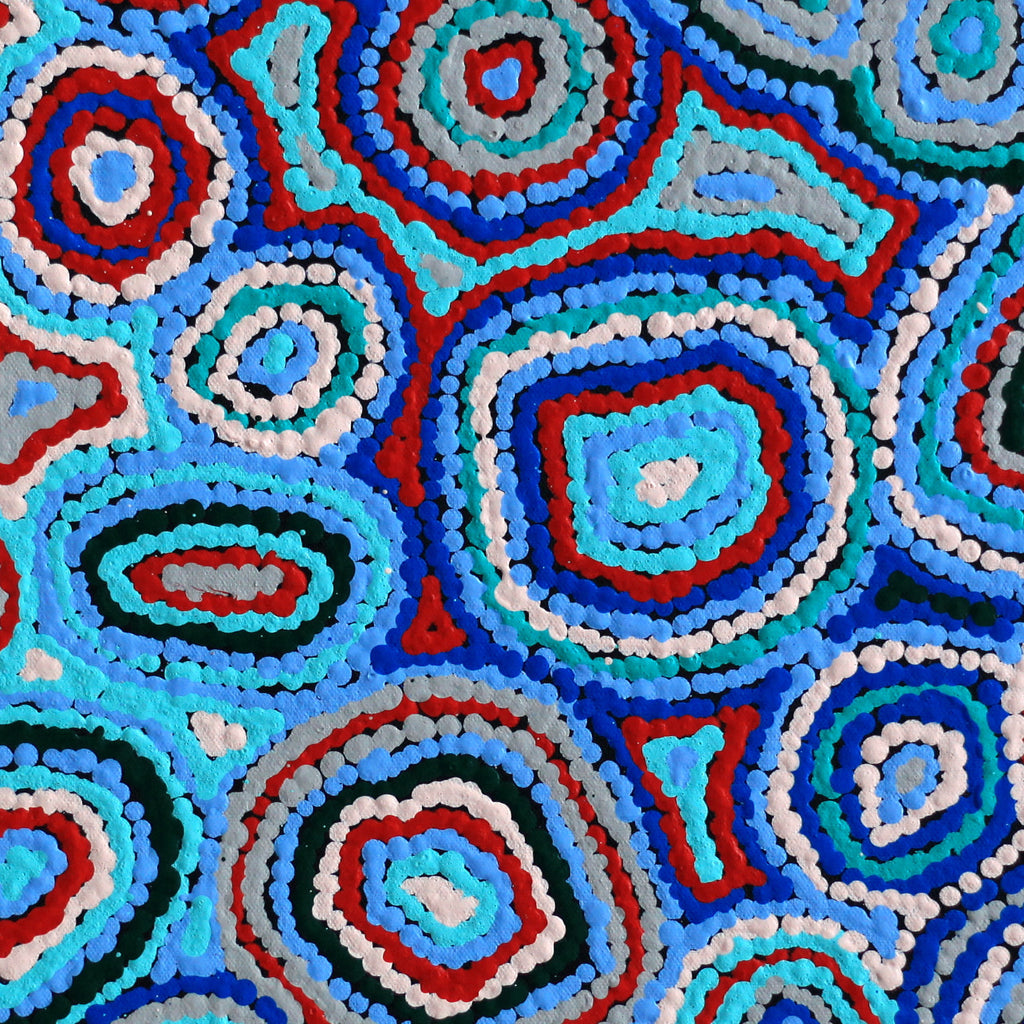 Aboriginal Artwork by Sarah Napaljarri Simms, Pikilyi Jukurrpa (Vaughan Springs Dreaming), 61x46cm