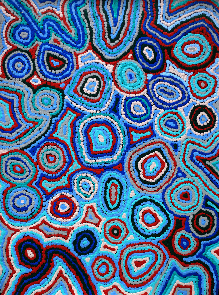 Aboriginal Artwork by Sarah Napaljarri Simms, Pikilyi Jukurrpa (Vaughan Springs Dreaming), 61x46cm