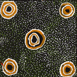 Aboriginal Art by Ada Nangala Dixon, Ngapa Jukurrpa (Water Dreaming) - Puyurru, 30x30cm - ART ARK®