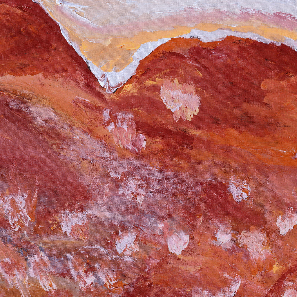 Aboriginal Artwork by Adrian Jangala Robinson, Nguru Nyirrpi-wana (Country around Nyirrpi), 76x46cm - ART ARK®