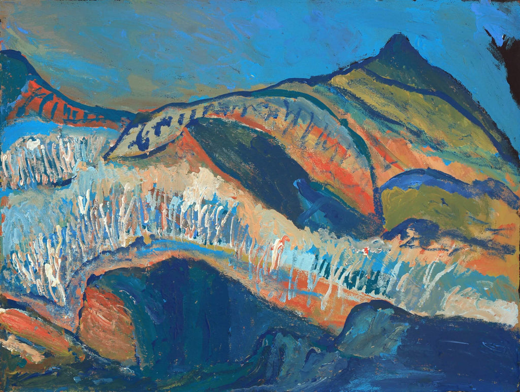 Aboriginal Artwork by Adrian Jangala Robinson, Patterns of the Landscape around Yuendumu, 61x46cm