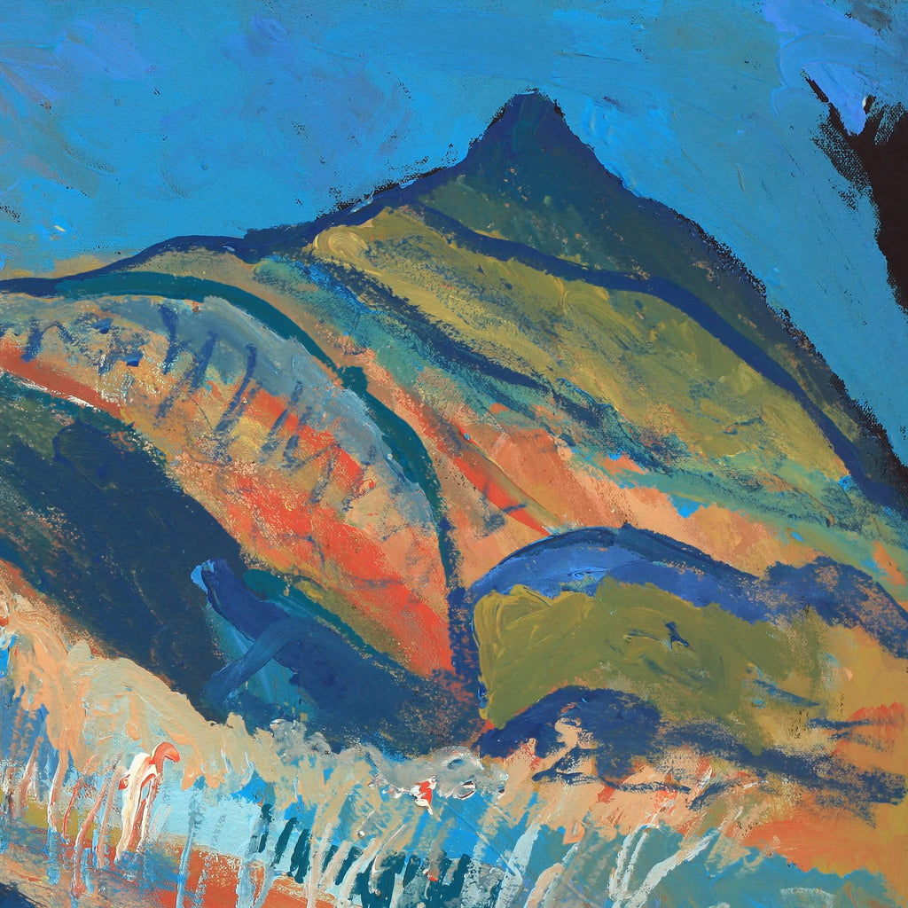 Aboriginal Artwork by Adrian Jangala Robinson, Patterns of the Landscape around Yuendumu, 61x46cm