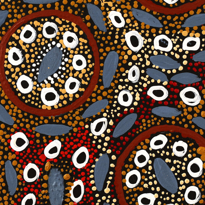 Aboriginal Artwork by Agnes Nampijinpa Fry, Pamapardu Jukurrpa (Flying Ant Dreaming) - Warntungurru, 30x30cm