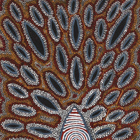 Aboriginal Artwork by Agnes Nampijinpa Fry, Pamapardu Jukurrpa (Flying Ant Dreaming) - Warntu, 107x46cm